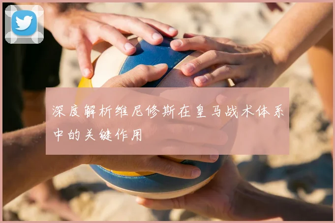 深度解析维尼修斯在皇马战术体系中的关键作用