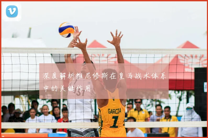 深度解析维尼修斯在皇马战术体系中的关键作用