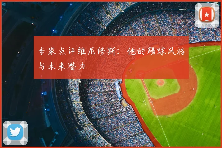 专家点评维尼修斯：他的踢球风格与未来潜力