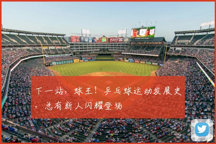 下一站，球王！乒乓球运动发展史，总有新人闪耀登场