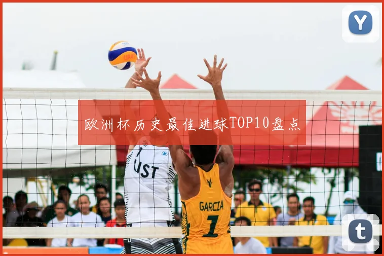 欧洲杯历史最佳进球TOP10盘点