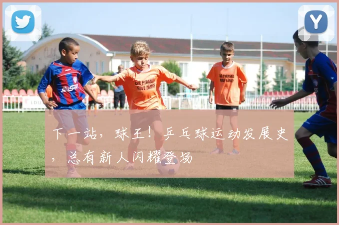 下一站,球王!乒乓球运动发展史,总有新人闪耀登场